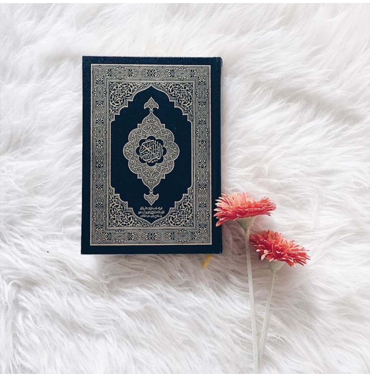 Standard Arabic Qur’an